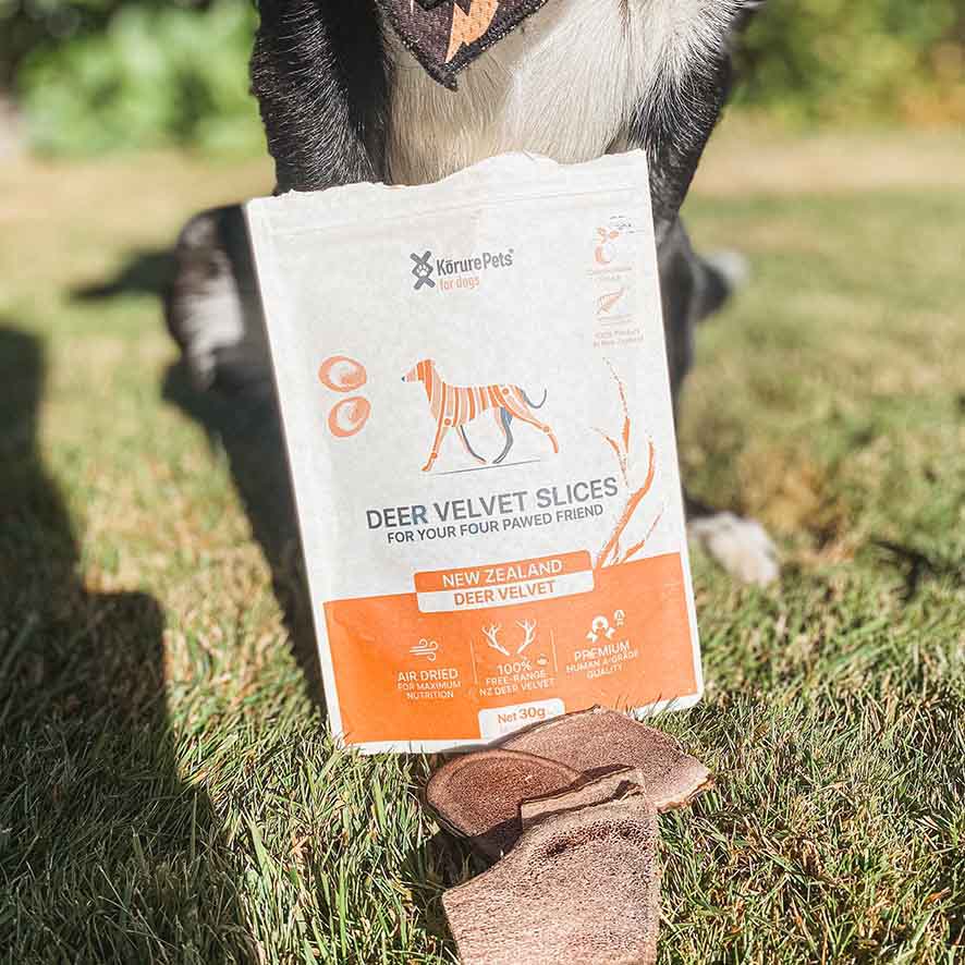 Deer velvet for dogs best sale